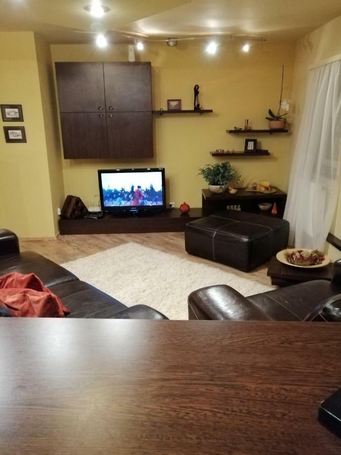 Carpatilor Apartment