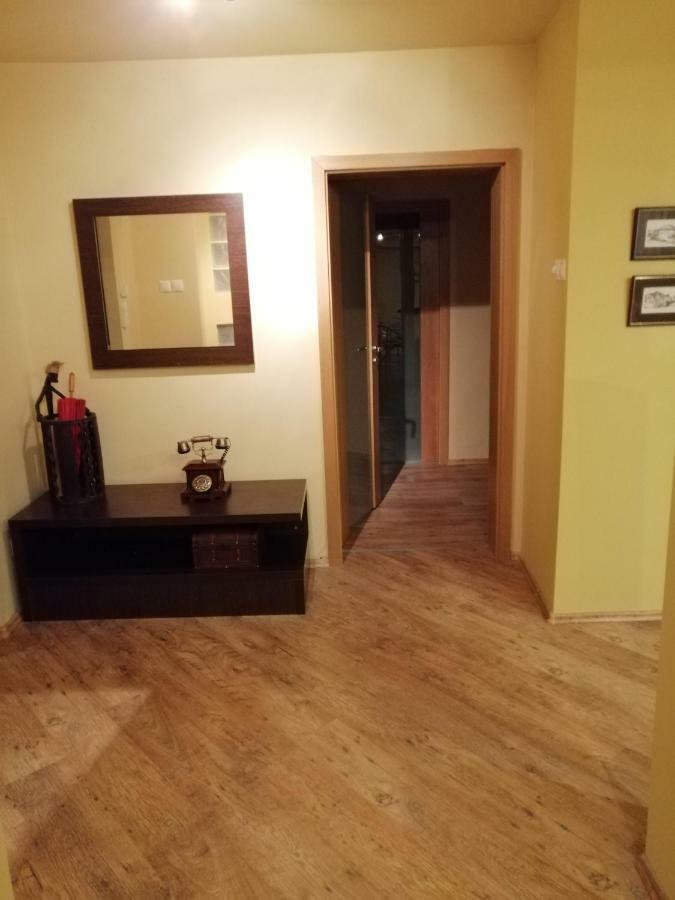 Apartment Carpatilor