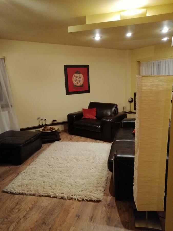 Apartment Carpatilor *