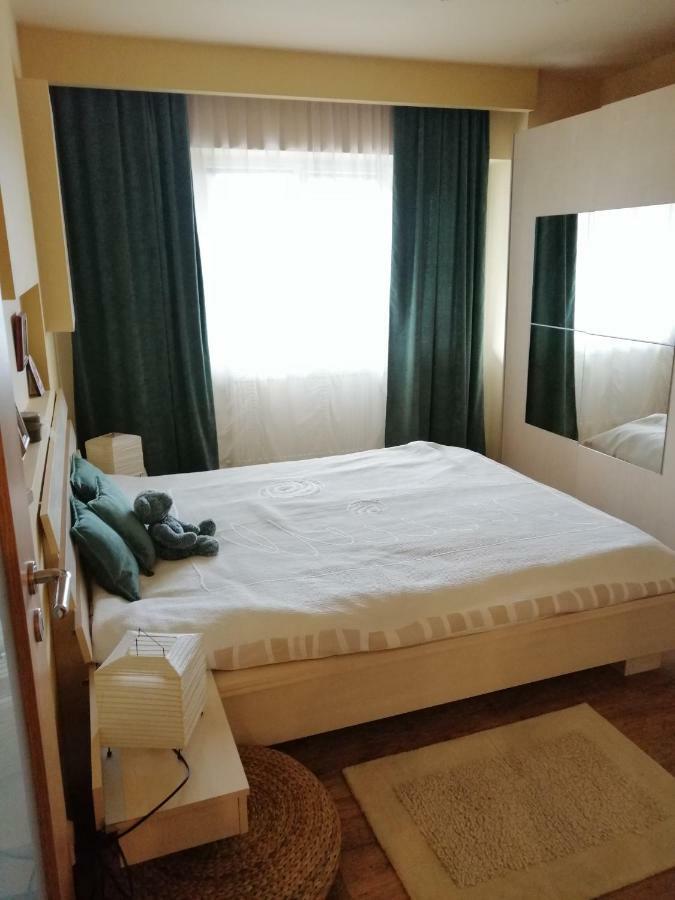 Carpatilor Apartment *