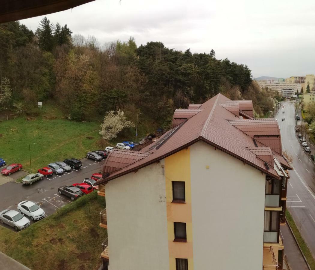 Apartment Carpatilor *