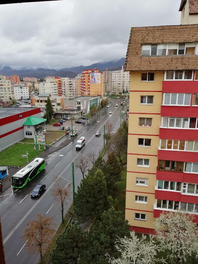 Apartment Carpatilor *